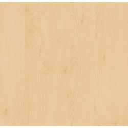 Adhésif décoratif grainé D-C-FIX imitation bois Bouleau 67,5x200cm