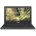 ASUS Chromebook (C204MA-GJ0203) Celeron / 4Go / 32Go / Gris