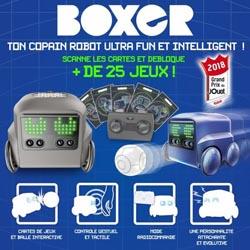 Boxer Robot - 6045398