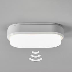 Bulkhead - Müller-Licht plafonnier LED ovale avec détecteur