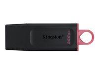 Clé USB Kingston DataTraveler Exodia - 256 Go