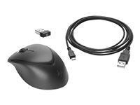 HP Wireless Premium Mouse souris RF Wireless Laser 1200 DPI Ambidextrous