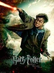 Ravensburger - Puzzle 100 p XXL - Le monde fantastique d'Harry Potter
