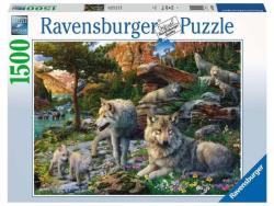 Ravensburger - Puzzle 1500 p - Loups au printemps