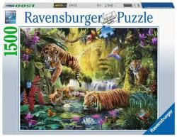 Ravensburger - Puzzle 1500 p - Tigres au plan d'eau
