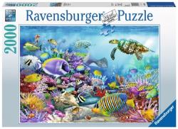 Ravensburger - Puzzle 2000 p - Récif de corail majestueux