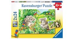 Ravensburger - Puzzles 2x24 p - Mignons koalas et pandas