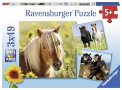 Ravensburger - Puzzles 3x49 p - Adorables poneys