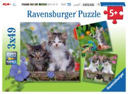 Ravensburger - Puzzles 3x49 p - Chatons tigrés