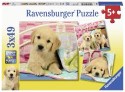 Ravensburger - Puzzles 3x49 p - Mignons petits chiots