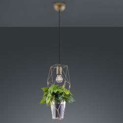 Trio Lighting Suspension Plant, 1 lampe avec insert verre déco