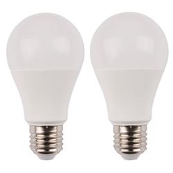2 ampoules standard 806L E27