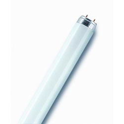 Tube fluorescent OSRAM Lumilux T8 L 18W830