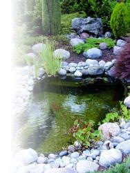 Bassin de jardin Iris SII - 240 litres UBBINK