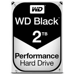 Western Digital WD2003FZEX Disque dur interne 8.9 cm (3.5 pouces) 2 To Black Bulk SATA III