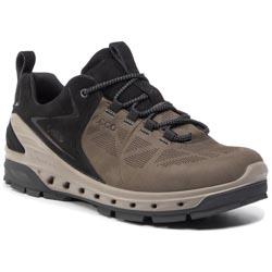 Chaussures ECCO - Biom Venture Tr GORE-TEX 85467450609 Tarmac/Black