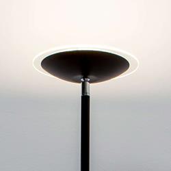 Lampadaire à éclairage indirect LED Malea noir - Lampenwelt.com