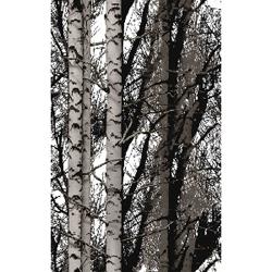 Adhésif décoratif D-C-FIX Wood 67,5x200cm